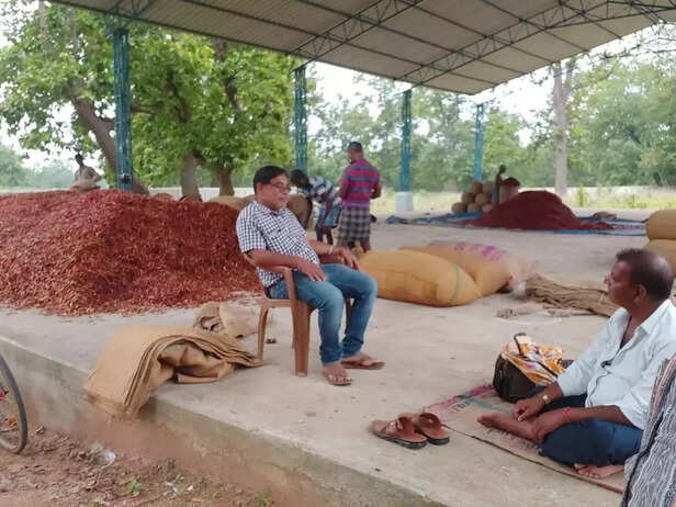 360265-8-red-chilli-in-kuchinda-market