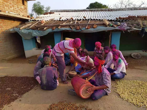 358379-352169-holi-festival-chhattisgarh-gaon-connection-13