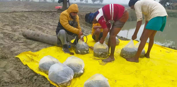 358170-whatsapp-image-2022-02-17-at-30412-pm