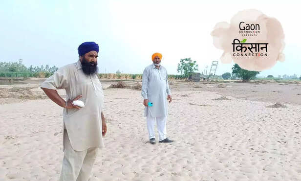 366736-untitled-design-54