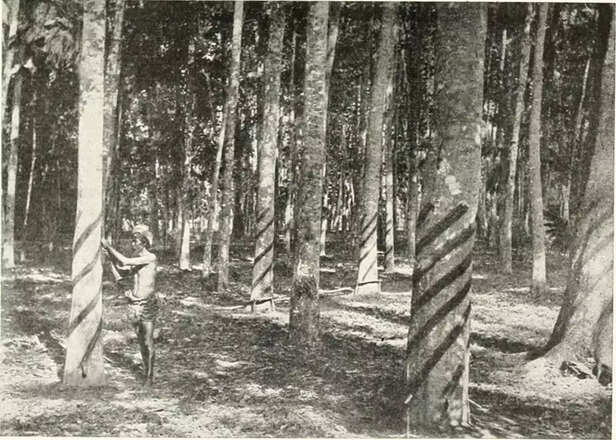 362795-14766352052b1ce258075o