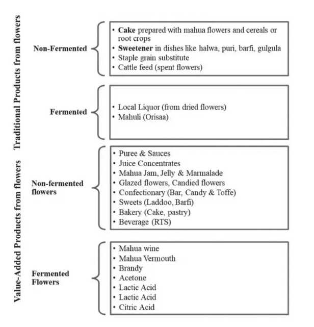 358809-whatsapp-image-2022-04-06-at-15047-pm