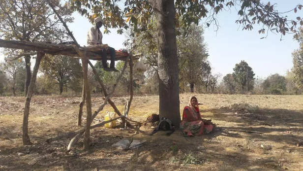 358816-whatsapp-image-2022-04-05-at-83043-am-2