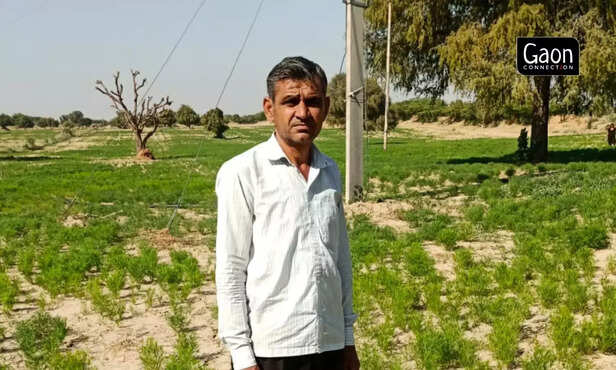 363009-untitled-design-13