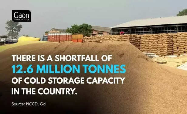 361193-grains-storage