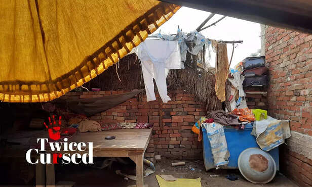 361963-hero-image-10