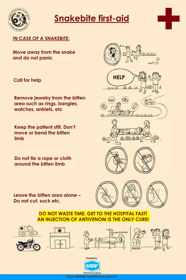 360812-snakebitefirstaid-english-1-scaled-1