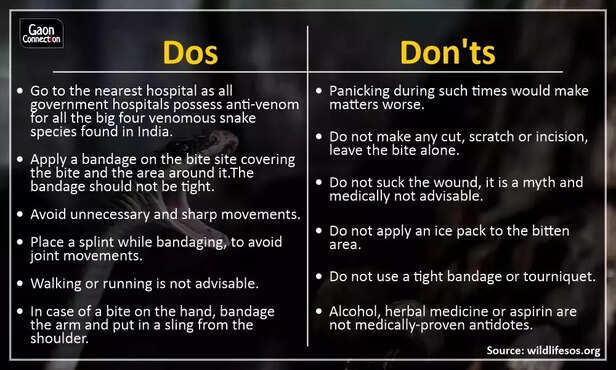 360810-whatsapp-image-2021-07-23-at-160229