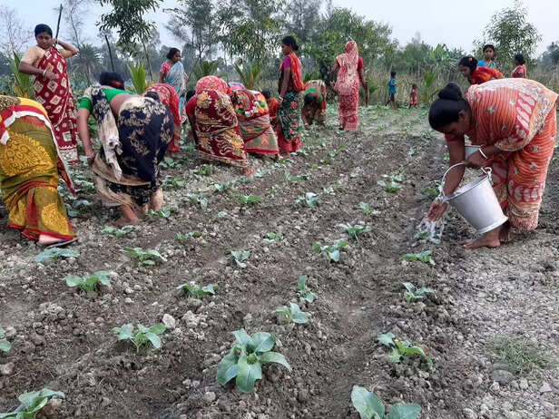 358900-e1709cb8-803e-4b6d-940d-8f9a97f2e3cc