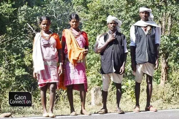 362803-362793-whatsapp-image-2022-12-28-at-114849