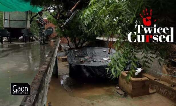 361757-untitled-design-34