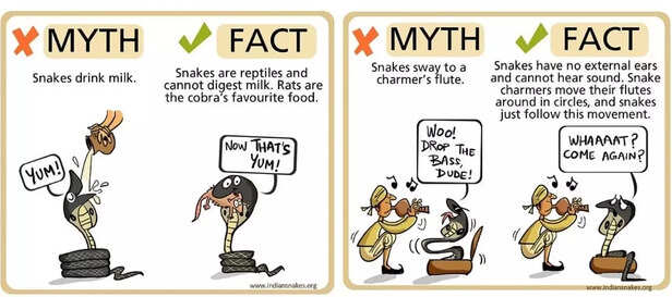 360891-snake-myths