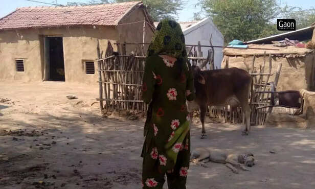 363940-untitled-design-2023-03-07t113612538