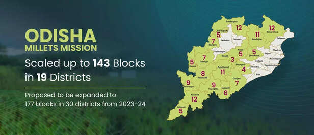 363791-odisha-millets