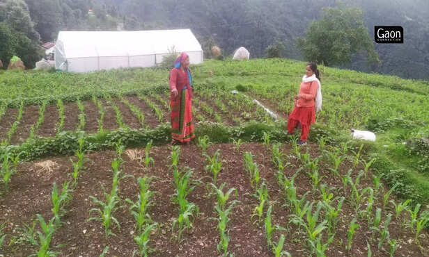 363042-untitled-design-24