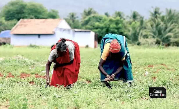 363193-women-farmers