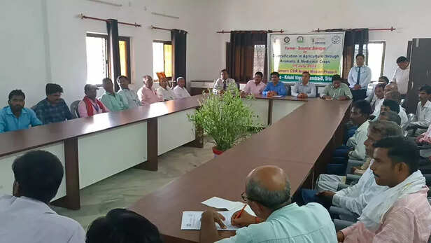 360687-aromatic-plants