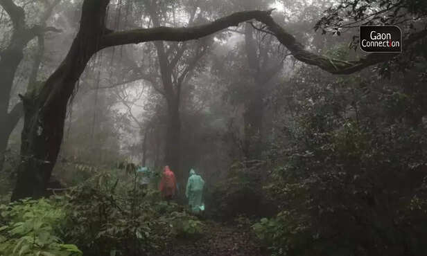 362774-untitled-design-7