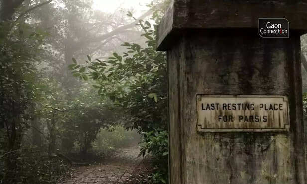 362778-untitled-design-6