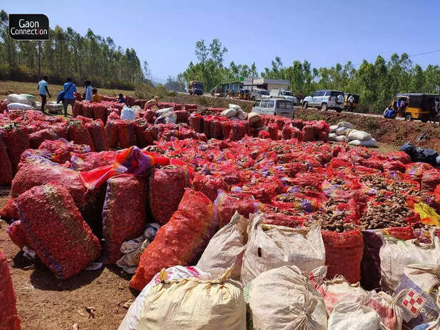 358746-2-ginger-bags-at-patangi