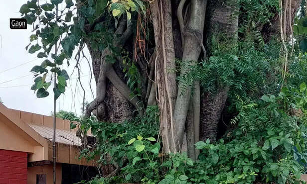 364933-untitled-design-4