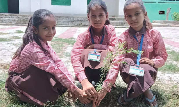 367908-untitled-design-2