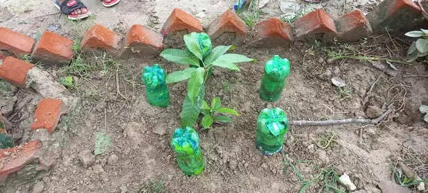 366044-whatsapp-image-2023-06-17-at-194551