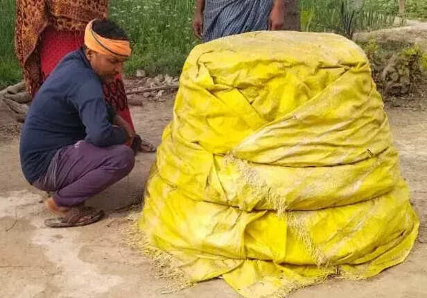 360083-whatsapp-image-2022-06-10-at-43047-pm