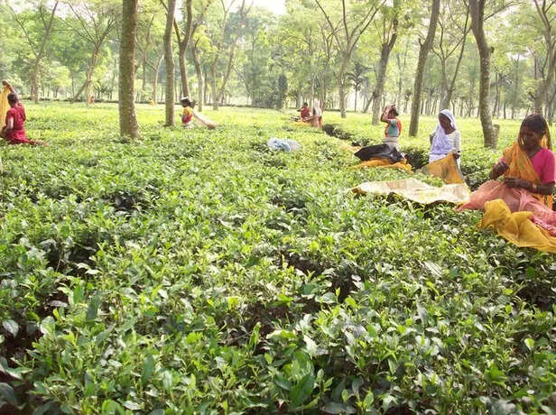 358645-whatsapp-image-2022-03-30-at-34847-pm