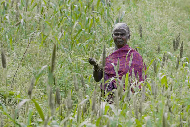 371000-lenovo-kerala-millets-2-scaled-1