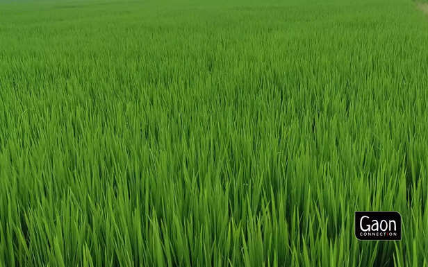 362297-trif-6-scaled-1