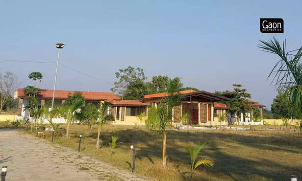 363585-untitled-design-64