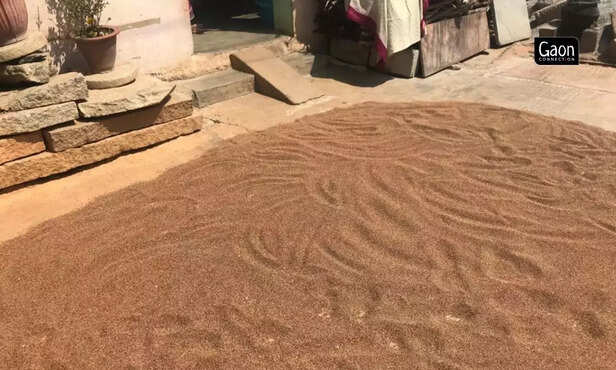 364111-untitled-design-2023-03-17t172049654