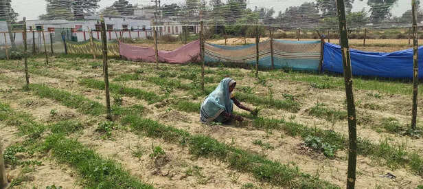 359005-whatsapp-image-2022-04-16-at-115921-am