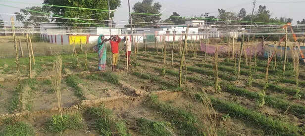 359003-whatsapp-image-2022-04-16-at-115702-am