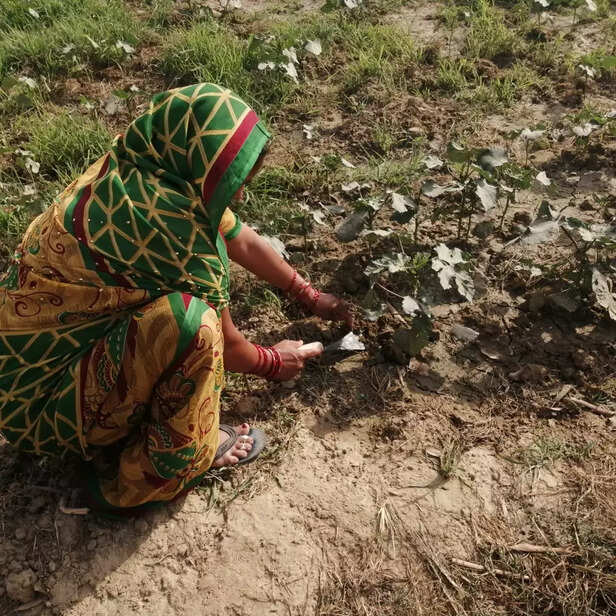 359006-whatsapp-image-2022-04-16-at-115900-am