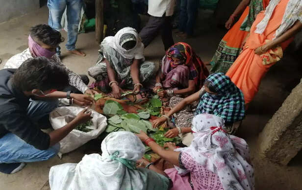 358936-screenshot-2022-04-12-at-34113-pm