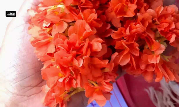 365465-teachers-diary-45