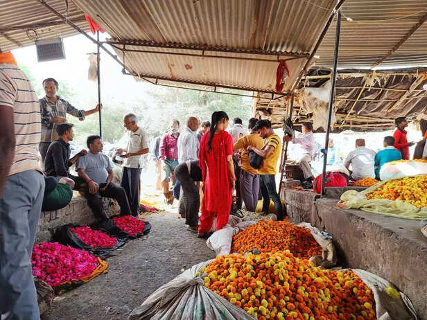 359178-whatsapp-image-2022-04-26-at-35312-pm-1