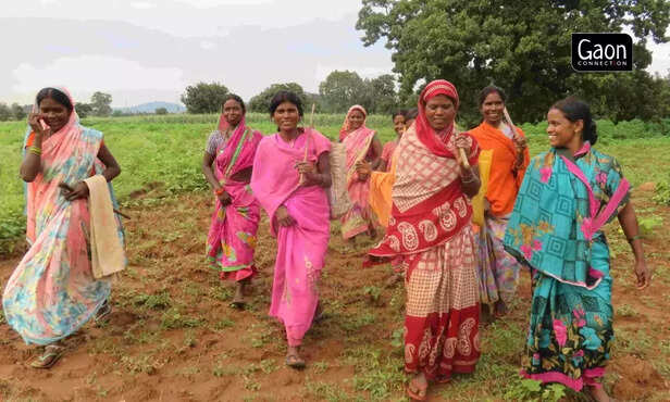 359057-whatsapp-image-2022-04-19-at-24500-pm