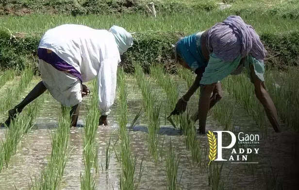 361008-creative-commons