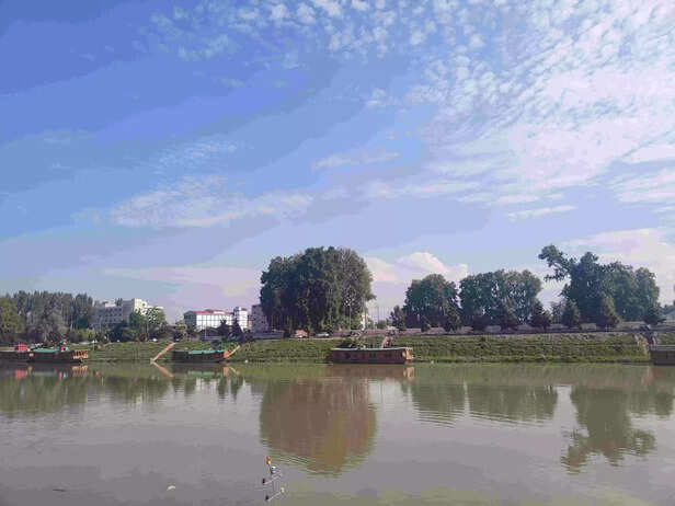 360653-pic-1-scaled-1