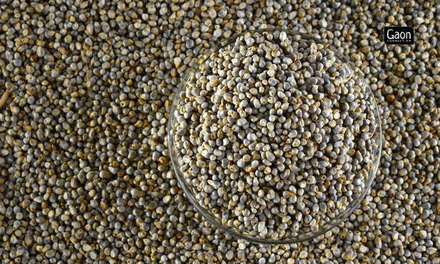 363802-untitled-design-2023-02-28t131502335