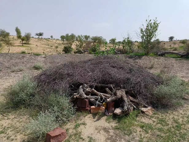 366360-whatsapp-image-2023-07-05-at-22355-pm