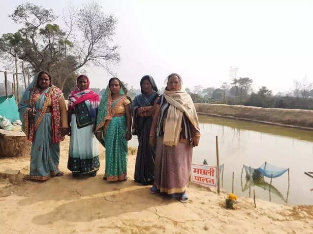 358168-whatsapp-image-2022-03-03-at-32718-pm-1