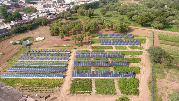 361417-cazri-2-scaled-1