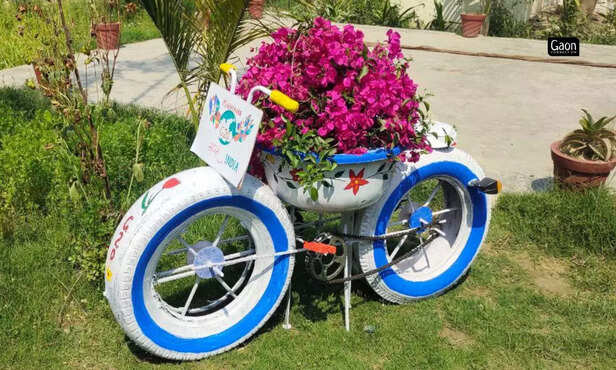 364204-untitled-design-2023-03-23t175419283