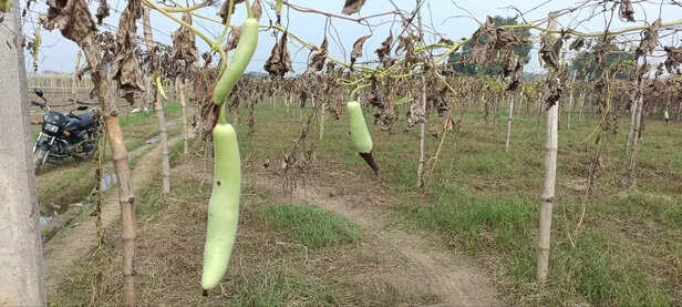 361512-photo6113913829239927268y