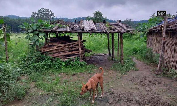 363861-untitled-design-2023-03-03t131102540