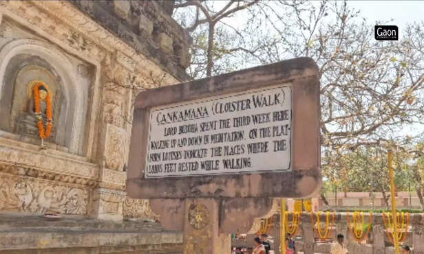 365054-untitled-design-59